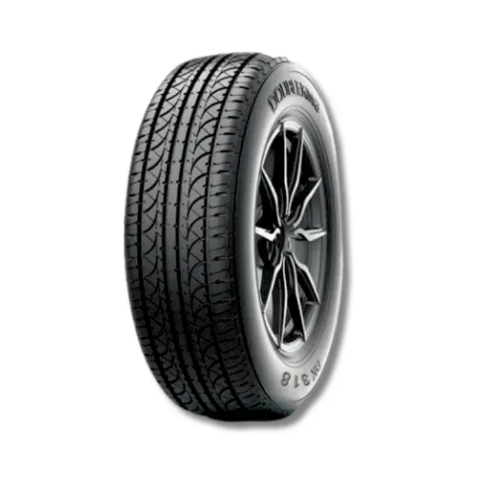 Double King DK569 185/70R14 Tires